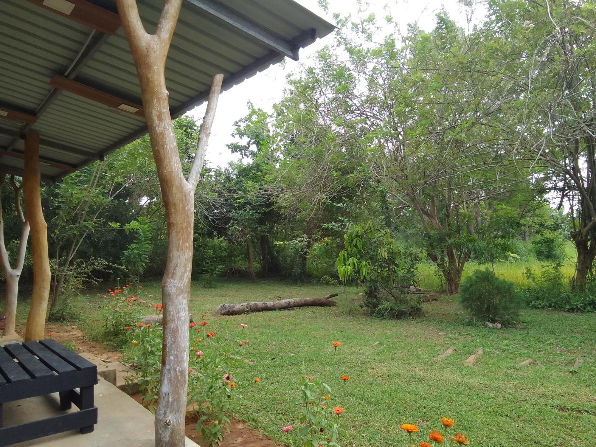 Wilpattu Buma Homestay Pahala Maragahawewa Exterior photo